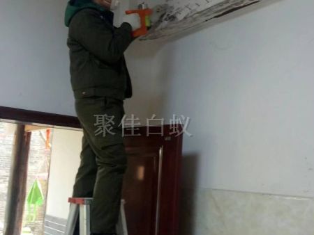 重庆家居灭白蚁 (9) 重庆家居灭白蚁 (9)