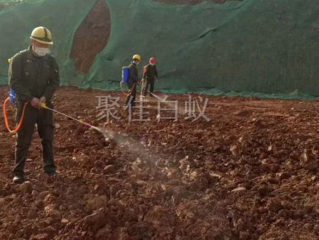 建筑场地白蚁防治 (12)