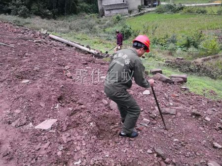 水库堤坝白蚁防治 (9)