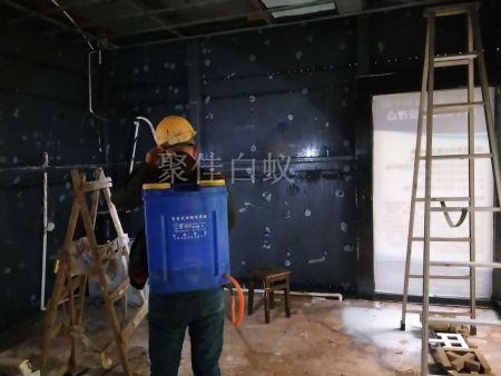 仓库物资白蚁治理