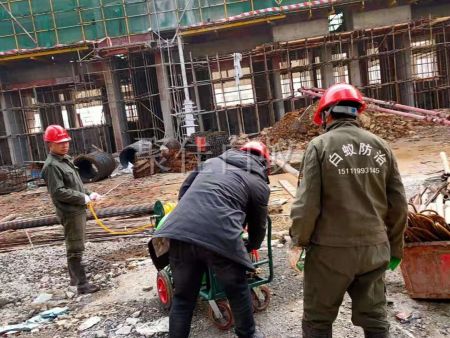 建筑场地白蚁防治 (4)