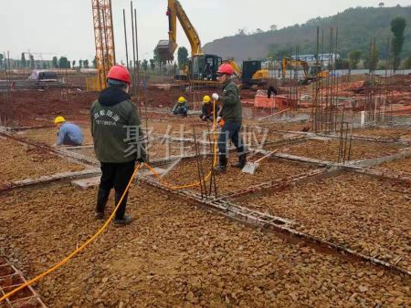 建筑场地白蚁防治 (6)