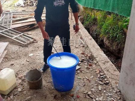 房屋装修预防白蚁 (8)