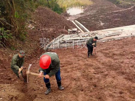 水库堤坝白蚁防治 (12)