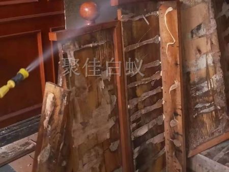 仓库物资白蚁治理