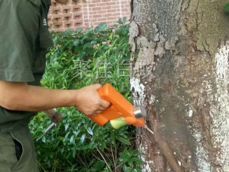 园林树木白蚁防治 (9)