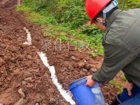 水库堤坝白蚁防治 (13)