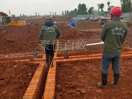 建筑场地白蚁防治 (3)