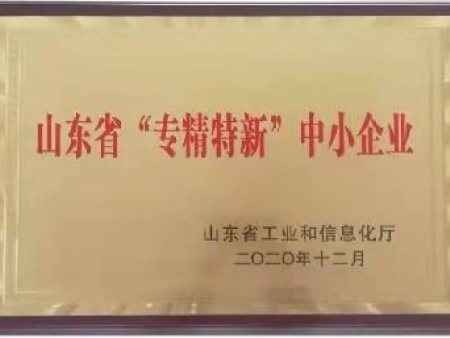 山東省專精特精中小企業(yè)
