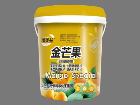 金芒果