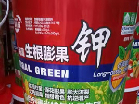 海藻生根膨果钾