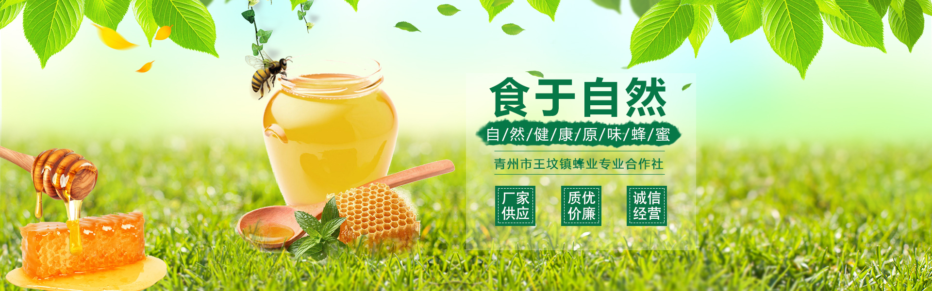 青州市王坟镇蜂业专业合作社