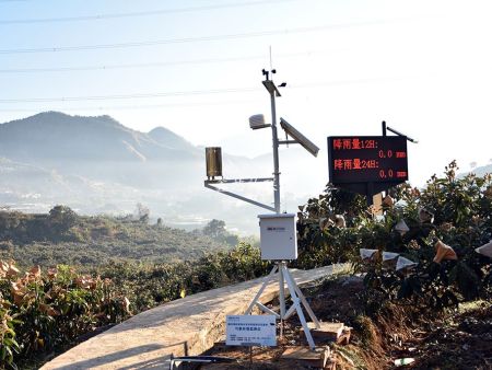 米易現代農業示范園枇杷種植基地物聯網項目