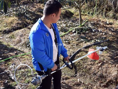 米易現代農業示范園枇杷種植基地物聯網項目
