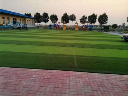 海兴幼儿园草坪