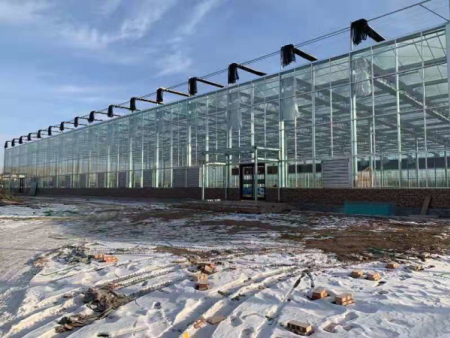 连栋大棚建设中的问题和解决方法