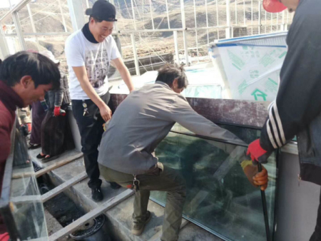 西藏建造温室工程