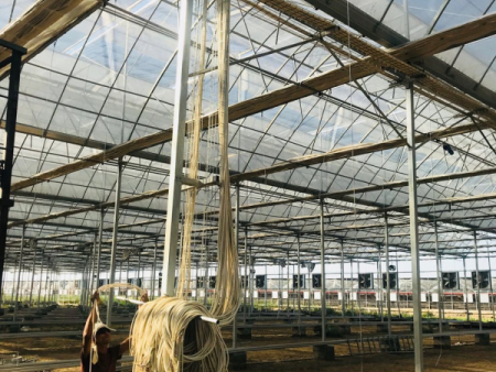 土库曼斯坦温室建造工程