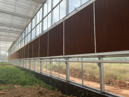 广东建造温室工程