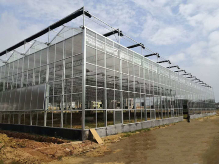 广东建造温室工程