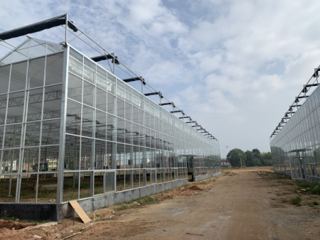 广东建造温室工程