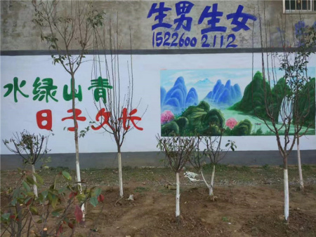 新农村乡村文化墙