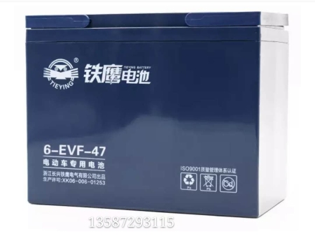 鐵鷹電池小電池6-EVF-47