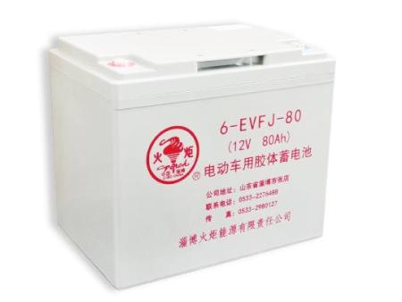 火炬電池6-EVF-80