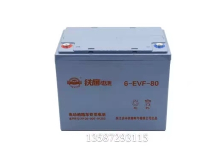 鐵鷹電池小電池6-EVF-80