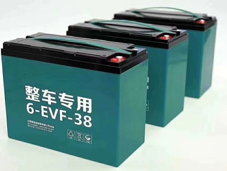 鐵鷹電池小電池6-EVF-38