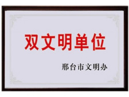 Qualification and honor Qualification and honor