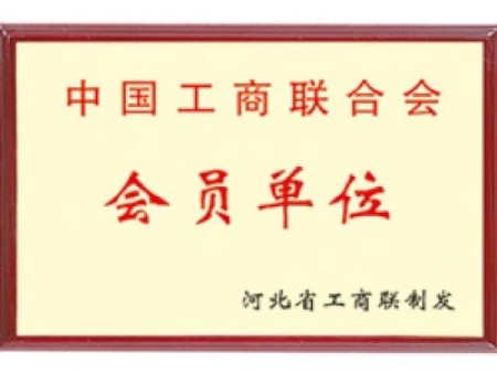 Qualification and honor Qualification and honor