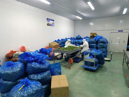 微信图片_20201110081355