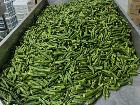 微信图片_20201110081341