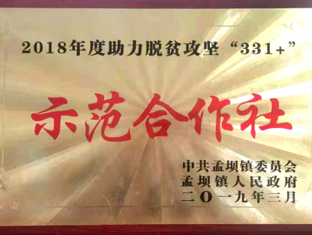 脫貧攻堅(jiān)示范合作社