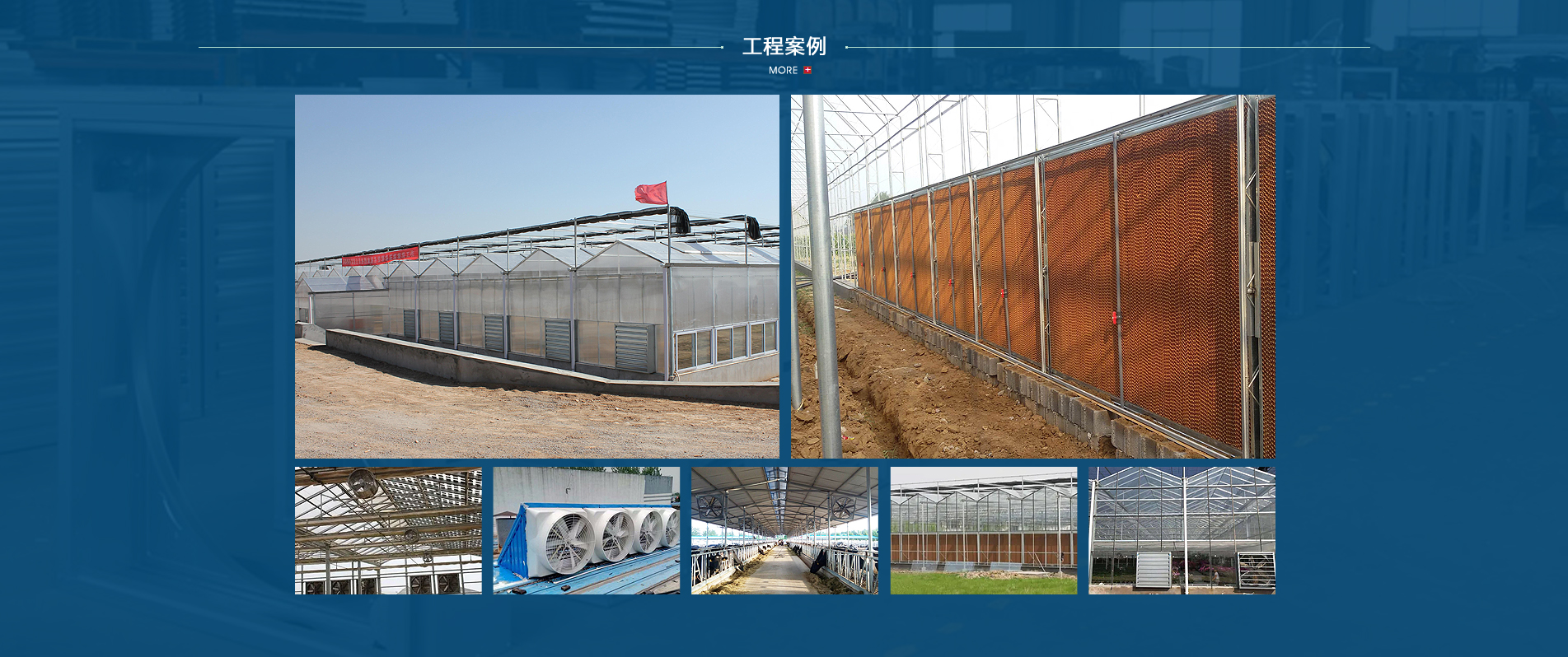 青州牧谷農業科技有限公司