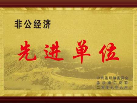 非公經(jīng)濟(jì)先進(jìn)單位
