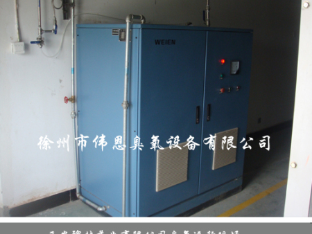 西安碑林药业臭氧运行现场