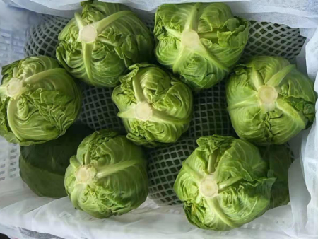 超大号周转筐内衬袋