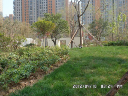 浐灞半岛园林景观工程施工