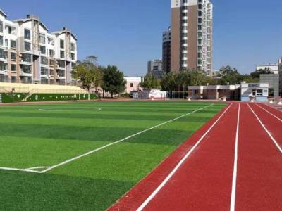 沈阳人造_仿真_幼儿园_足球场草坪厂家-沈阳金帝体育设施工程