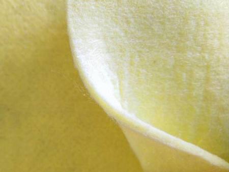 u=1975227325,4220805884&fm=193