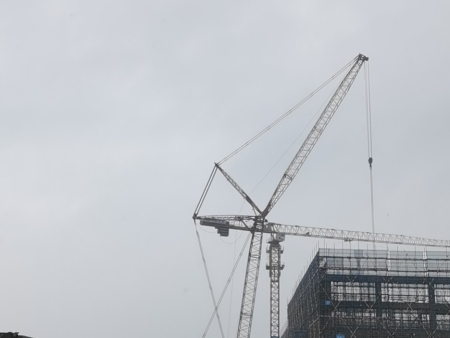 350T莆田三棵树总部 350T莆田三棵树总部