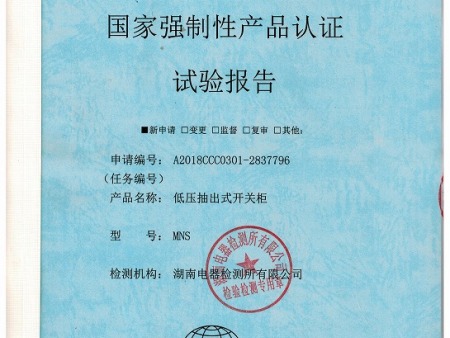 17MNS试验报告封面