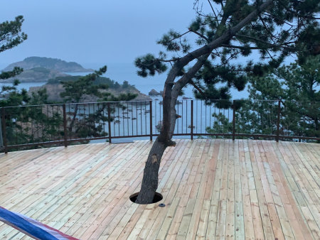 威海湾及环海路北线绿道贯通工程