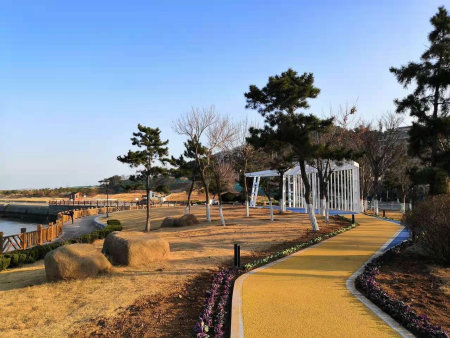 半月湾绿化及亮化工程