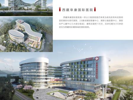 西藏阜康国际医院