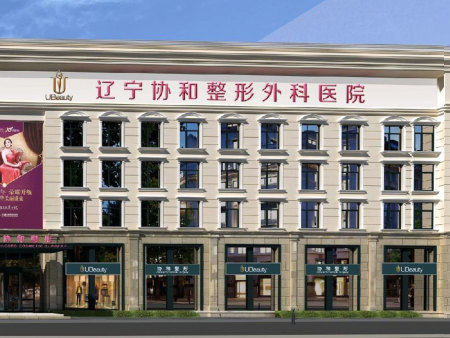 辽宁协和整形外科医院有限公司消防设施维保工程