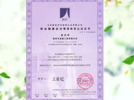 职业健康安全管理体系