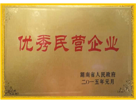 优秀民营企业